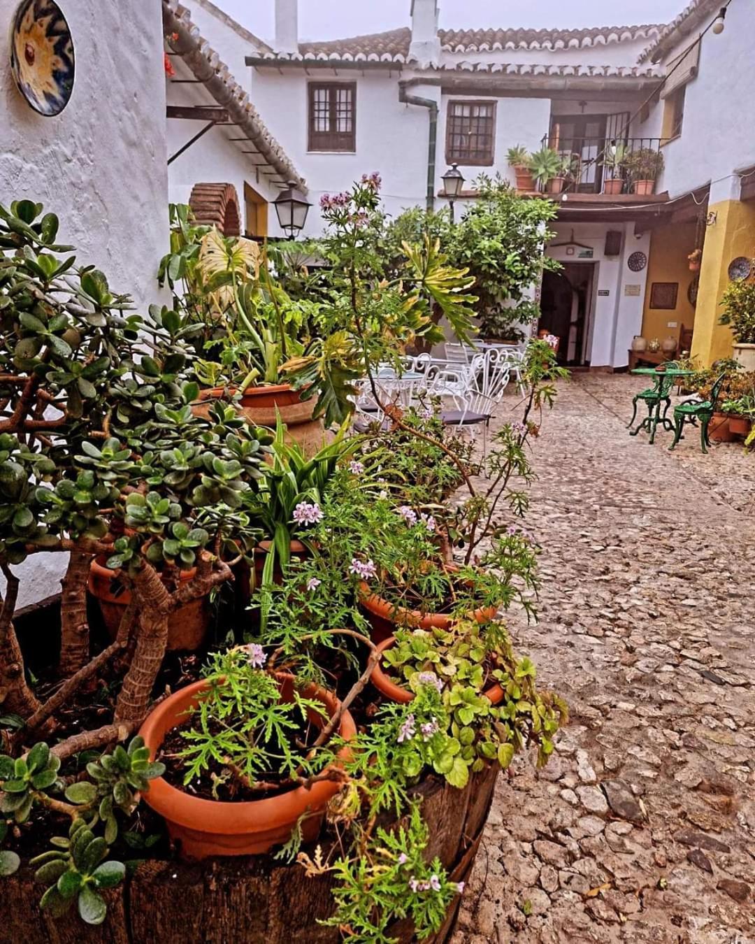 Hotel Rural Verde Oliva Comares Zewnętrze zdjęcie
